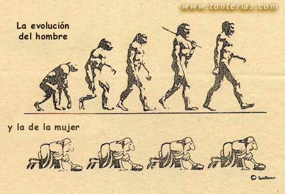 La evolucion del hombre y de la mujer