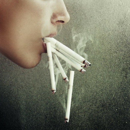 amazing photographs by attila kozo